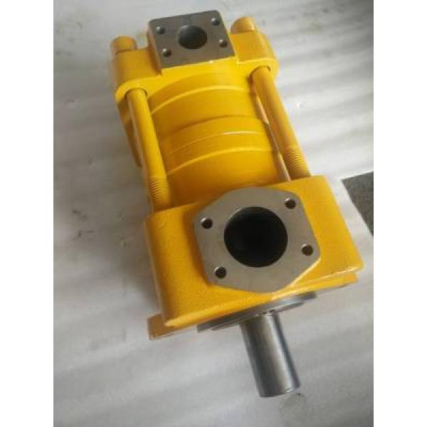 SUMITOMO Original import Series Gear Pump QT33-16E-A #1 image