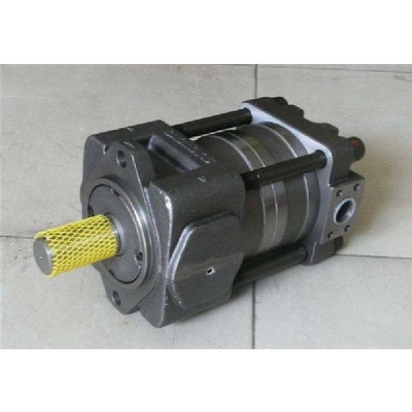 SUMITOMO Original import Series Gear Pump QT33-10E-A #1 image