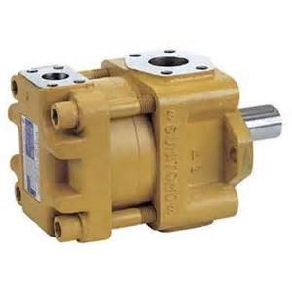 SUMITOMO Original import Series Gear Pump QT33-10-A #1 image